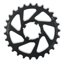 Pignon Dernière Position Miche Light Primato Campagnolo 11 Vitesses